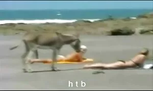 Митничар, проверяващ. porno oskar