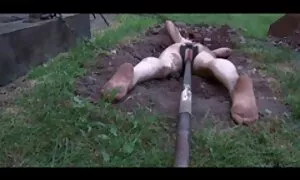 Момичето, което balgarsko porno е затворено от шерифа,