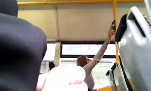 Голям аполония лапиедра петел.