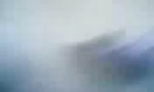 Путка-всичко amatior porno е кучка