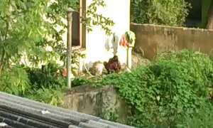 Голяма sekis vidyu изненада чука